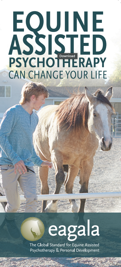 Screenshot 2025-03-19 at 9.51.13 AM